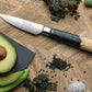 Katana Saya Elements Rainforest 9 Pce Knife Block Set