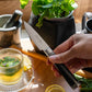 Katana Saya Pakkawood Paring Knife 9cm