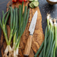 Katana Saya Olive Wood Utility Knife 12cm